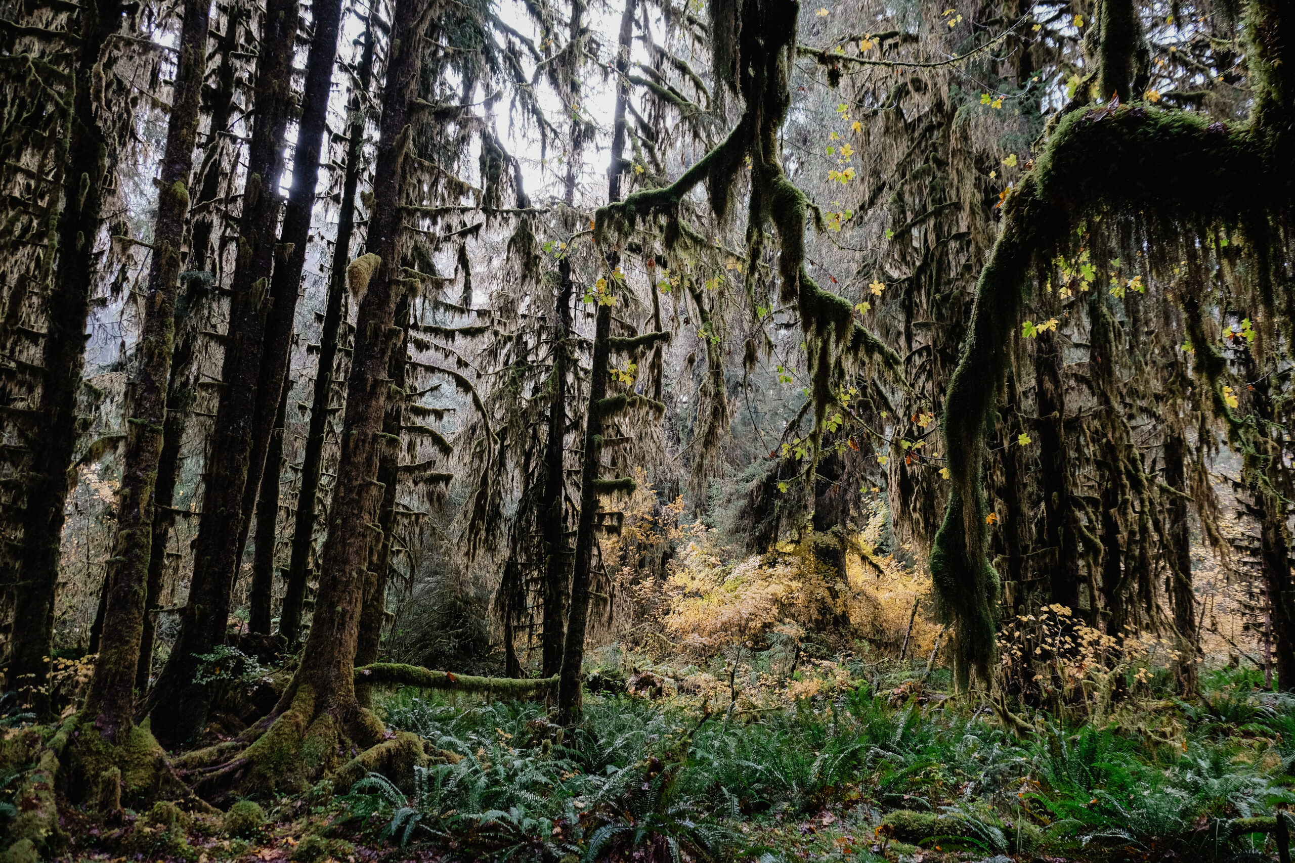 Washington State