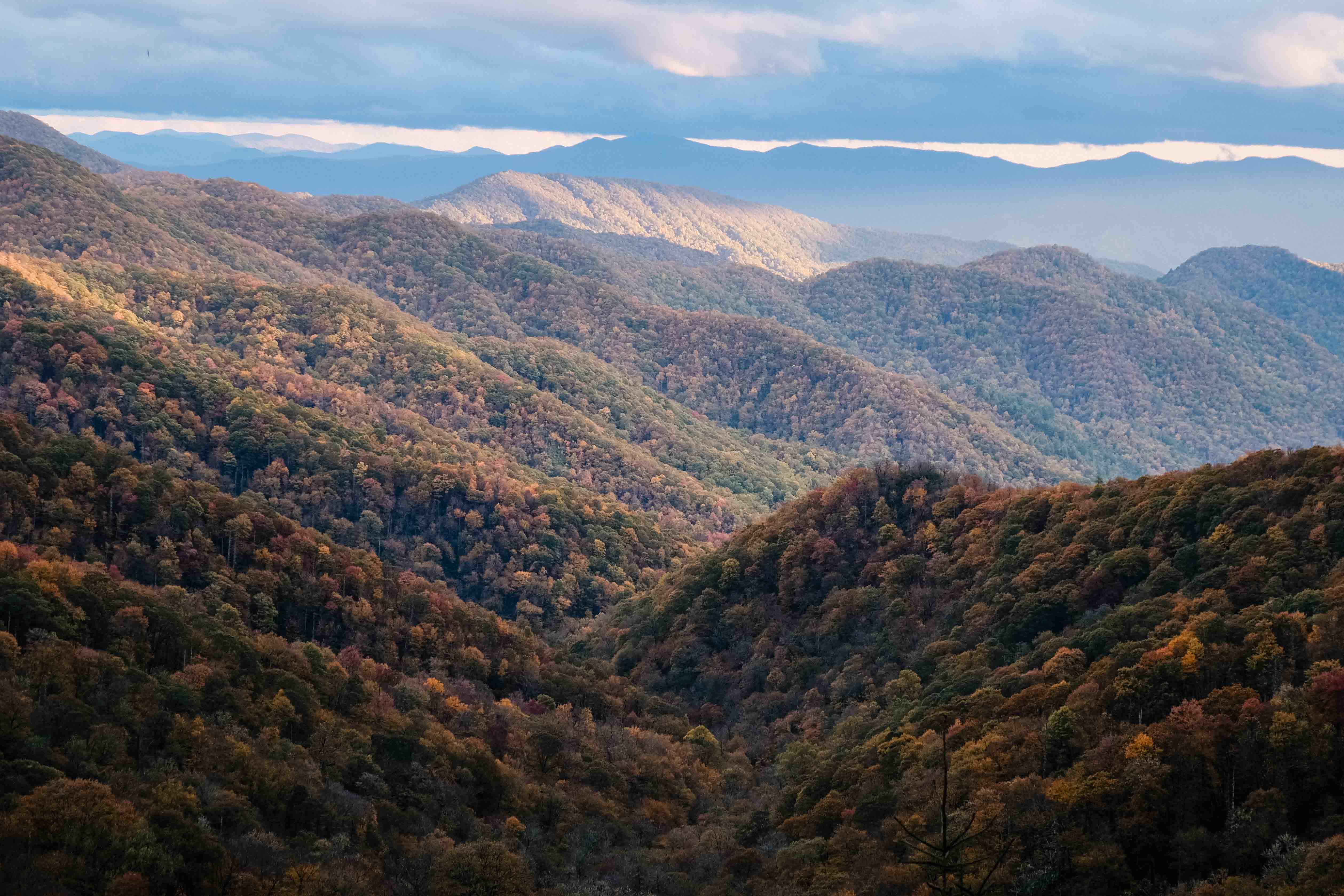 Smokey Mountain National Park